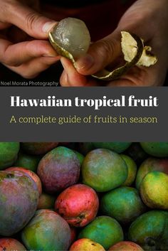 a person holding a piece of fruit in their hands with the title hawaiian tropical fruit a complete guide to fruits in season