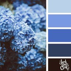 blue and black color scheme with hydrangeas