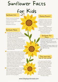 sunflowers are the most popular flowers in the world, and it's important to