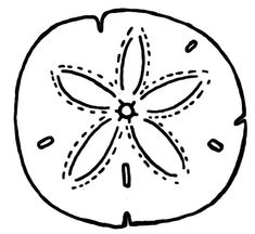 an orange is shown in black and white, with the top half cut out to show the