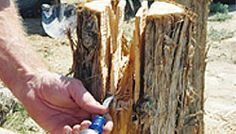 a man is cutting wood with an electric screwdriver in front of a tree stump