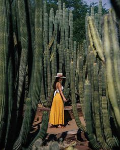 a woman in a yellow dress and straw hat standing between large cacti