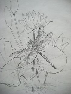 a drawing of a dragonfly sitting on top of a flower