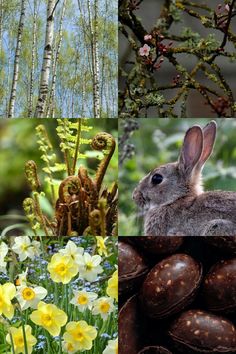 a rabbit sitting on top of a pile of eggs next to flowers and trees in the background