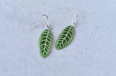 Treat yourself to a bit of nature's beauty with these handmade Calathea Zebrina Plant Earrings! They're made in Cleveland, Ohio of paper and resin with hypoallergenic sterling silver hooks. Perfect for the plant lover in your life (or maybe just for you!). Everyday Green Nature-inspired Earrings, Green Nature-inspired Everyday Earrings, Everyday Hand Painted Green Earrings, Everyday Green Hand Painted Earrings, Handmade Botanical Leaf Earrings, Monstera Leaf Clay Earrings, Nature-inspired Hypoallergenic Leaf Earrings, Green Leaf-shaped Botanical Jewelry, Resin Monstera Leaf Earrings