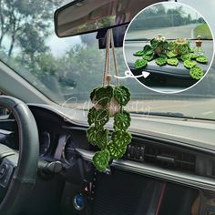 a car dashboard with plants hanging from the dash