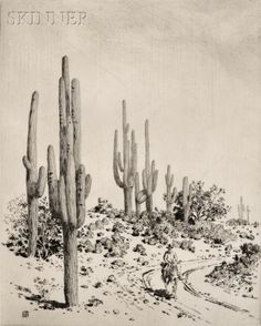 a black and white drawing of cactus trees in the desert with a man riding a horse