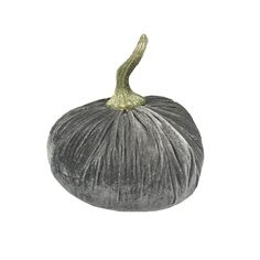 a drawing of a silver pumpkin on a white background with the top half cut off