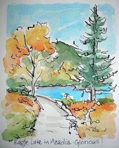 watercolor and ink painting of trees on the edge of a lake