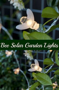 the bee solar garden lights are hanging from trees with white flowers and green leaves around them