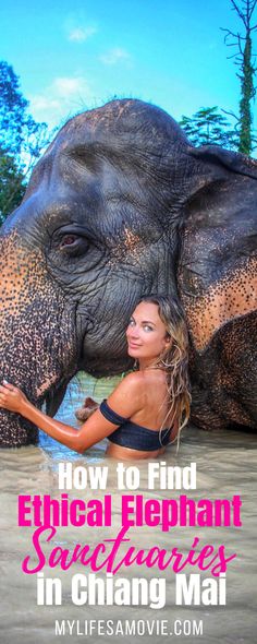 an elephant with its trunk in the water and a woman standing next to it's face