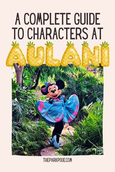 a person dressed as minnie mouse with the words, a complete guide to characters at disney world