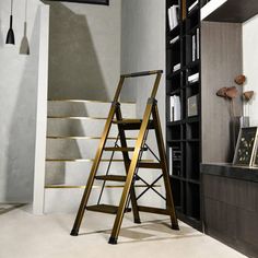 a ladder leaning against the wall in front of a bookshelf