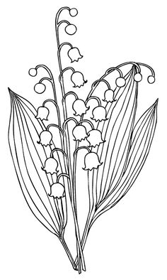 lily of the valley coloring page