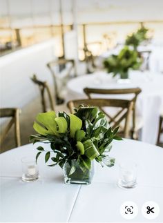 there is a vase with some green plants on it and two glasses are next to the table