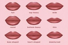 Types Of Lips Shape, Types Of Lips, Heart Shaped Lips, Lip Types, Drawing Lips, Shape Chart, Lip Blush