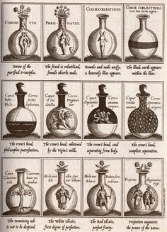 Alchemy Manuscript, The Alchemist Art, Alchemy Potions, Alchemist Kitchen, Alchemy Art Illustrations, Alchemy Aesthetic, Alchemist Aesthetic, Medieval Alchemist