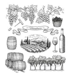 a bunch of wine related items are shown in this image, including barrels and grapes