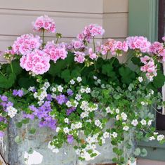 pink and white flowers in a window box