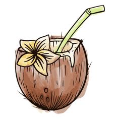 a drawing of a coconut drink with a straw and flower on the rim, in a sketch style