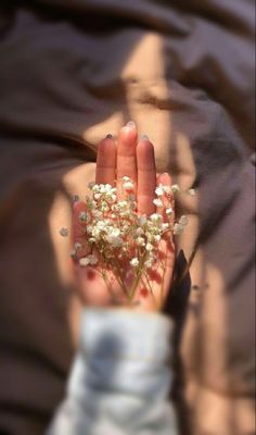 a person's hand holding small white flowers