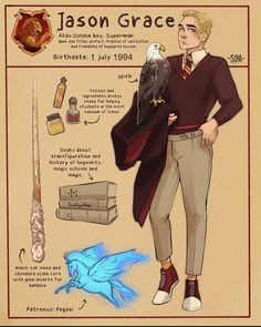 an image of a harry potter character with his bird on his arm and other items around him