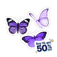 three purple butterflies with white spots on the wings and one is flying in the air