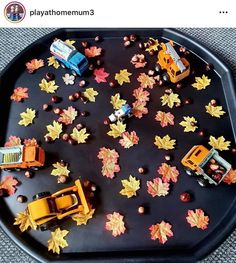 a tray with cars and leaves on it