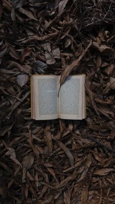 an open book laying on top of wood chips