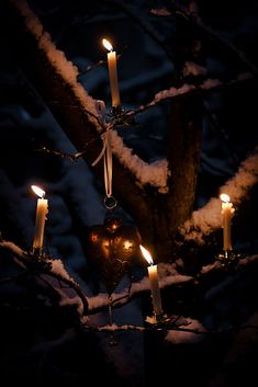 lit candles are hanging from a tree in the snow