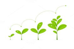 green plants growing from the ground with arrows pointing up to them, on a white background