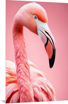 a pink flamingo standing in front of a pink background