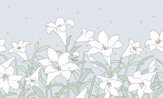 white flowers with green stems against a light blue background in an abstract style, drawn by pen and ink