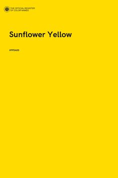 a yellow book cover with the title sunflower yellow written in black and white on it