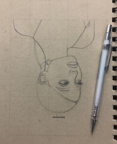 a pencil drawing of a deer's head on top of a piece of paper