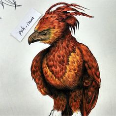 a drawing of a red and yellow bird with a tag on it's head