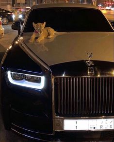 a black rolls royce parked on the side of a street at night with an animal figurine sitting on it's hood