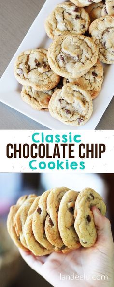 chocolate chip cookies on a white plate with the words classic chocolate chip cookies above them