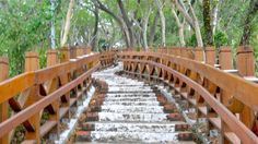 a wooden bridge that has water running down the side and trees in the back ground