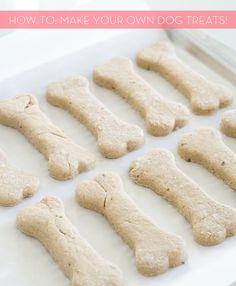 dog bones and bones on a baking sheet with the words the bakery written over them