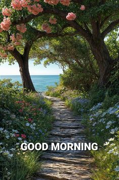 a path leading to the ocean with pink flowers and trees on either side that reads, good morning