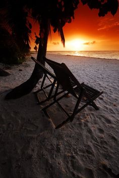 the sun is setting over the beach with two lounge chairs under a tree on the sand