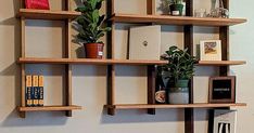 three wooden shelves with plants and books on them