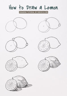 how to draw a lemon with simple steps