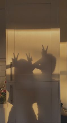 the shadow of two people's hands on a kitchen counter