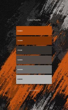 an orange and black color palette with different shades