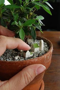 a person is holding a potted plant with tiny houses in it and small rocks on the ground