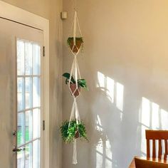 two plants hanging from a rope in front of a door