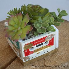 a cassette player with succulents in it sitting on top of a tree stump