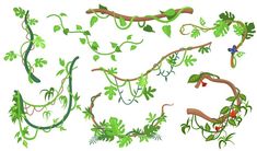 various vines and leaves on a white background